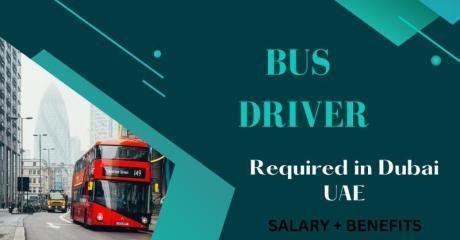 Bus Driver Required in Dubai