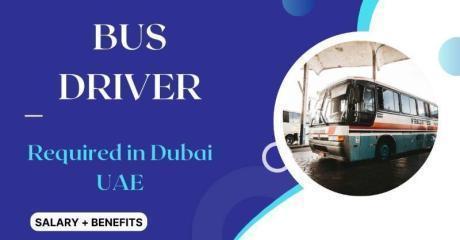 Bus Driver Required in Dubai