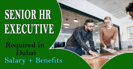 Senior HR Executive Required in Dubai