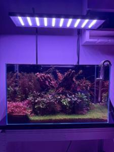 Whole Aquarium Setup