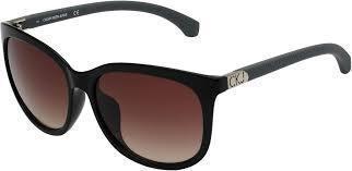 AED 533, Trendy Calvin Klein Sunglasses Collection
