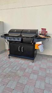 Bbq gas and charcoal grill with delivery