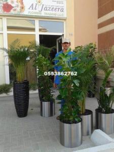 OFFICE INDOOR PLANTS AND POTS