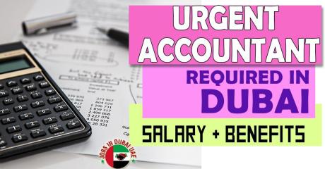 Urgent Accountant Required in Dubai