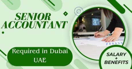 Senior Accountant Required in Dubai