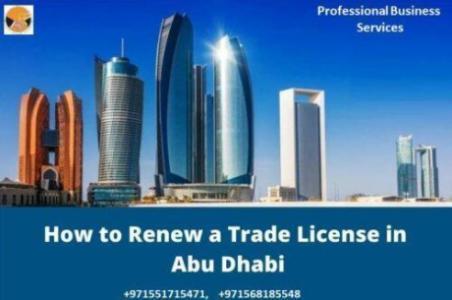 BUSINESS SETUP CONSUTANT