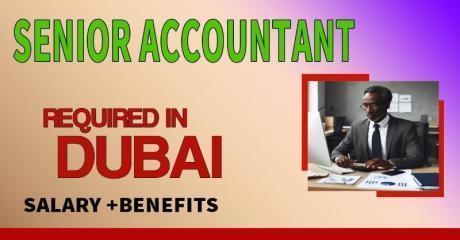 Senior Accountant Required in Dubai