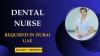 Dental Nurse Required in Dubai -