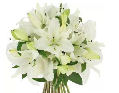 AED 199, Lily Flowers
