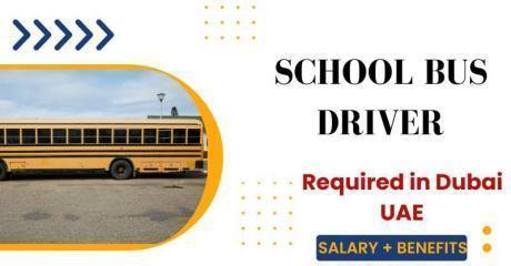 Urgent School Bus Driver Required in Dubai