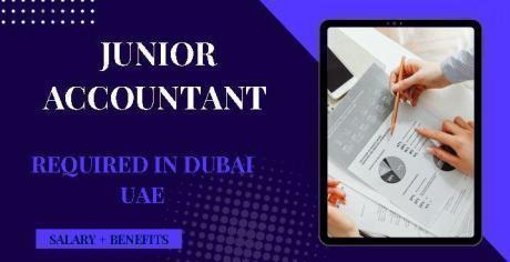 Junior Accountant Required in Dubai