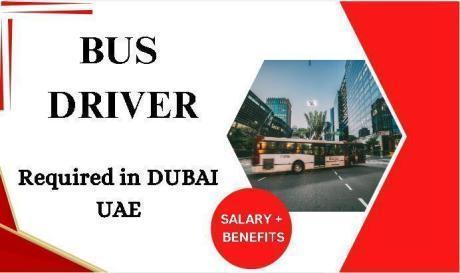 Bus driver Required in Dubai