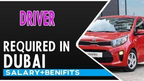 Driver Required in Dubai