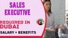 Sales Executive Required in Dubai