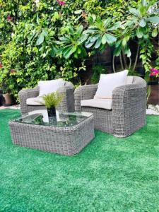 High quality garden set