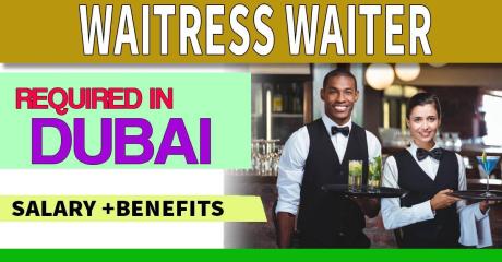 Waitress/Waiter Required in Dubai