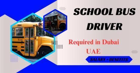 SCHOOL BUS DRIVER Required in Dubai