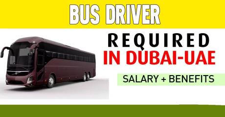 Bus Driver Required in Dubai