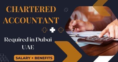 Chartered Accountant Required in Dubai