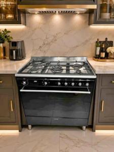 Smeg Brand Latest New Model Top Gas Electric Oven