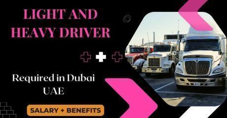 DRIVER (light and Heavy ) Required in Dubai