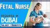 Fetal Nurse Required in Dubai
