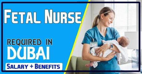 Fetal Nurse Required in Dubai