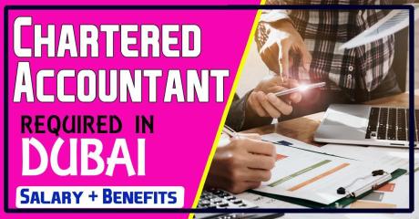 Chartered Accountant Required in Dubai