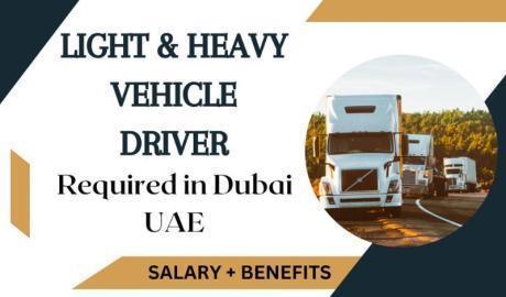 Light & Heavy Vehicle Driver Required in Dubai