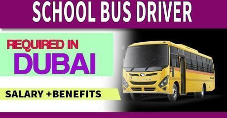 School Bus Driver Required in Dubai