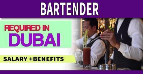 Bartender Required in Dubai