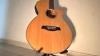 Acoustic Guitar