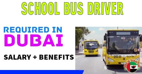 School Bus Driver Required in Dubai