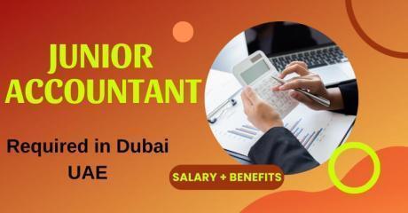 Junior Accountant Required in Dubai