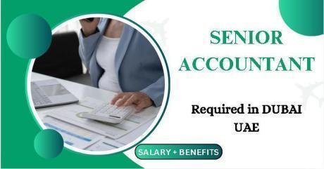 Senior Accountant Required in Dubai