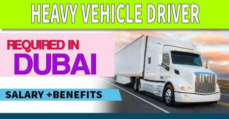 HEAVY VEHICLE DRIVER Required in Dubai