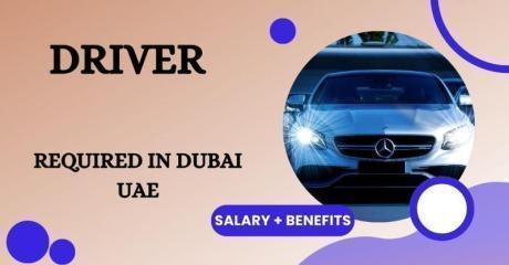 Driver Required in Dubai