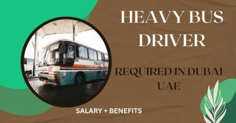 Heavy bus Driver Required in Dubai