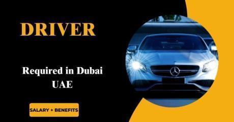 Driver Required in Dubai