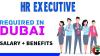 HR EXECUTIVE Required in Dubai