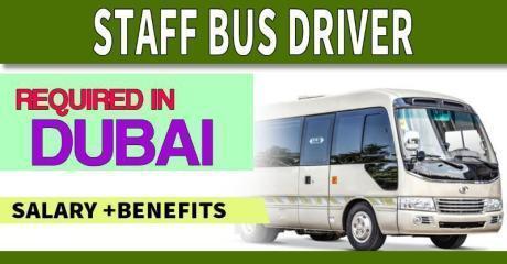 Staff Bus Driver Required in Dubai