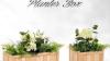AED 850, Planter Boxes For Sale