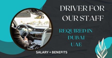 DRIVER FOR OUR STAFF Required in Dubai