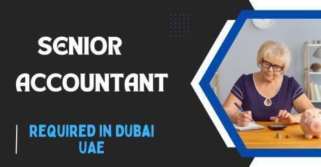 Senior Accountant Required in Dubai