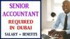 Senior Accountant Required in Dubai