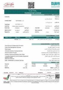 IT Trade License for Sale