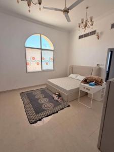 Studio Room available for Rent