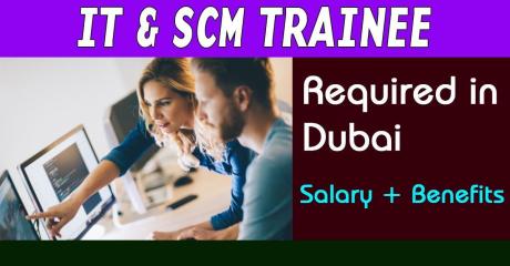 IT & SCM Trainee Required in Dubai