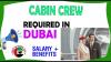 Cabin Crew Required in Dubai