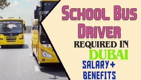 School Bus Driver Required in Dubai
